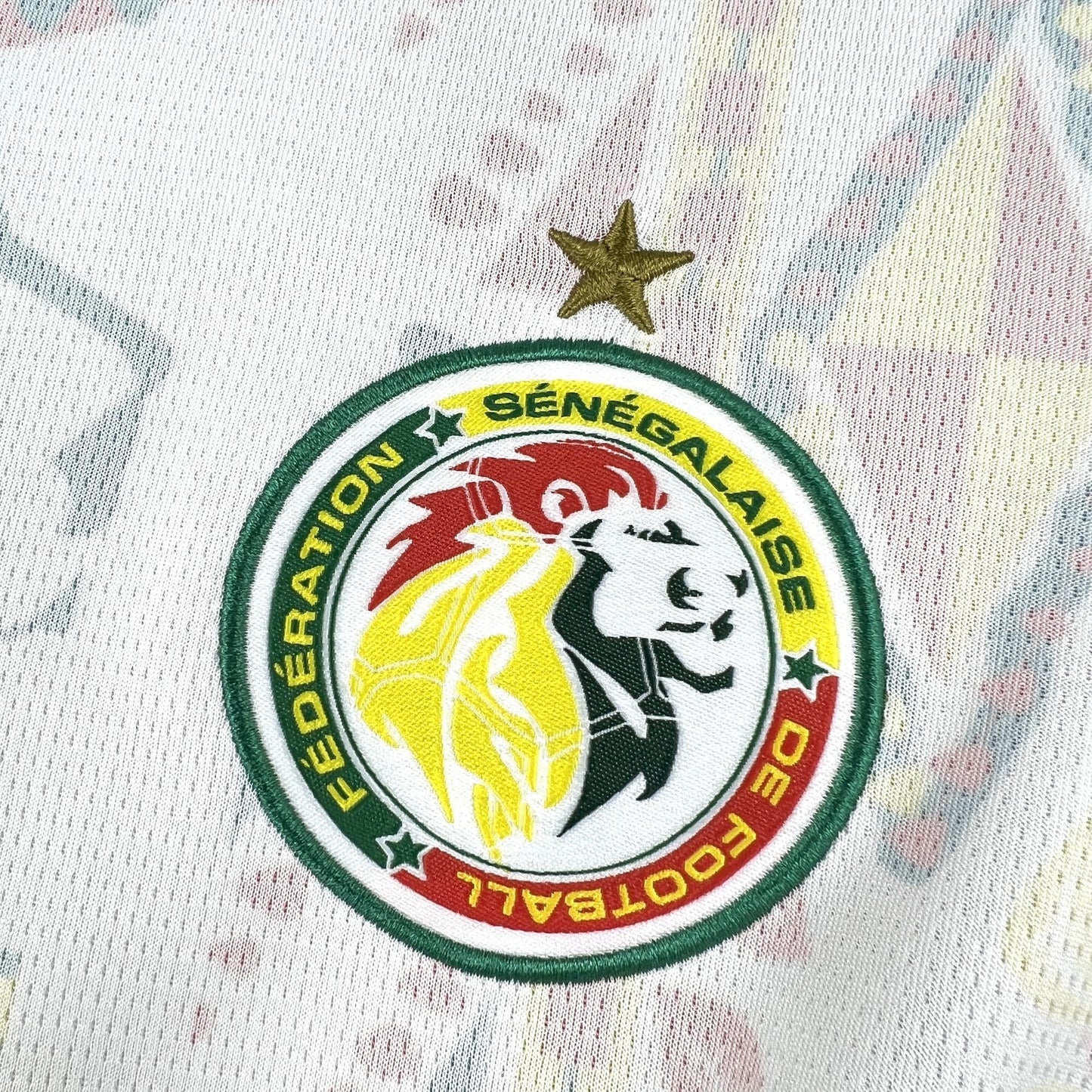 Maillot Coupe du Monde - Sénégal