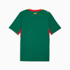 Maillot Sénégal Domicile — Vert