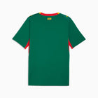 Maillot Sénégal Domicile — Vert